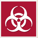  Plague Inc 